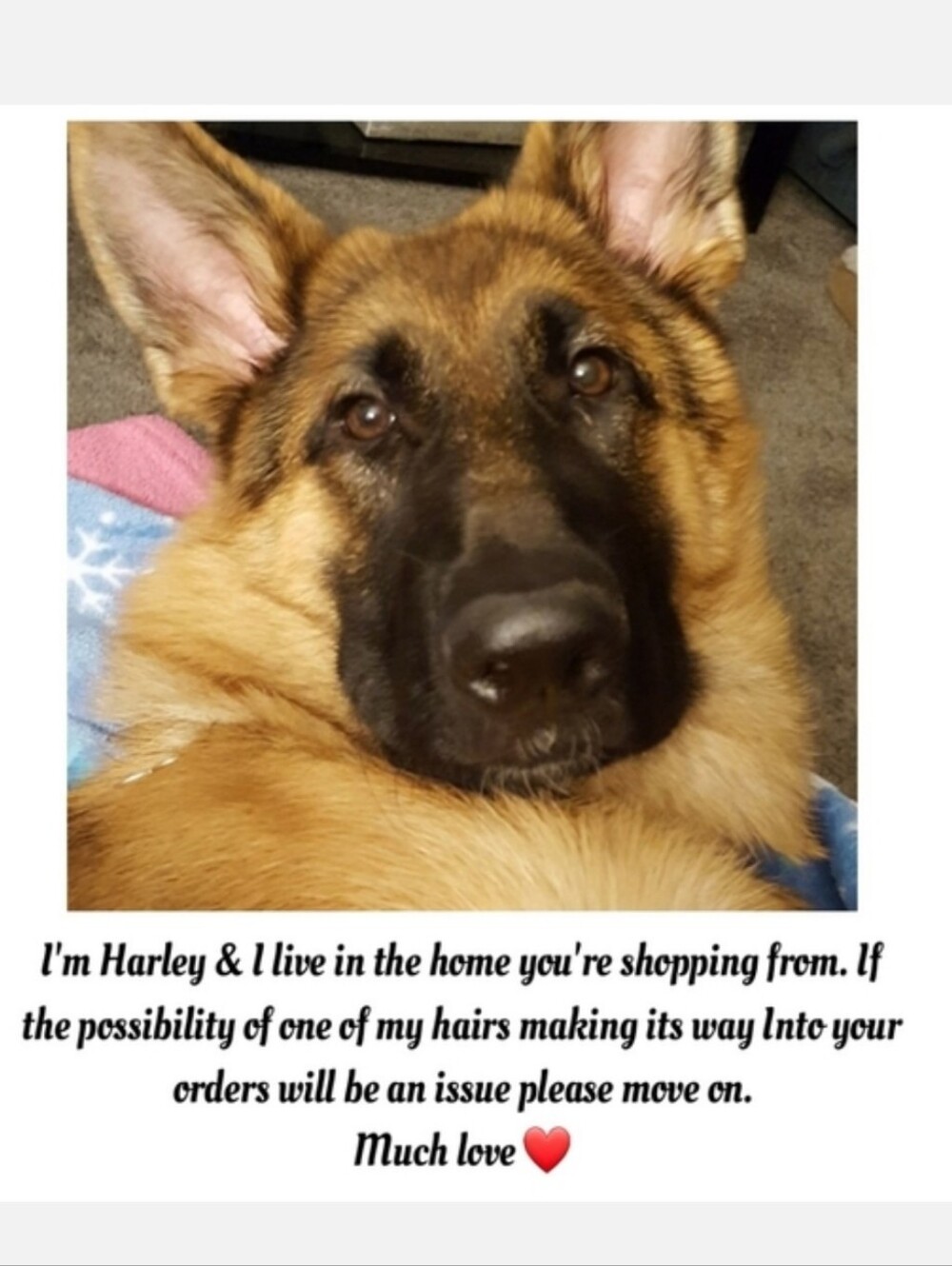 Share here! ❤ chat here! - Picture 6 of 8